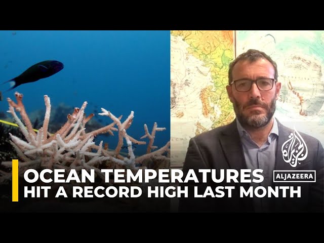 Oceans break high-temperature record in warmest February marked globally