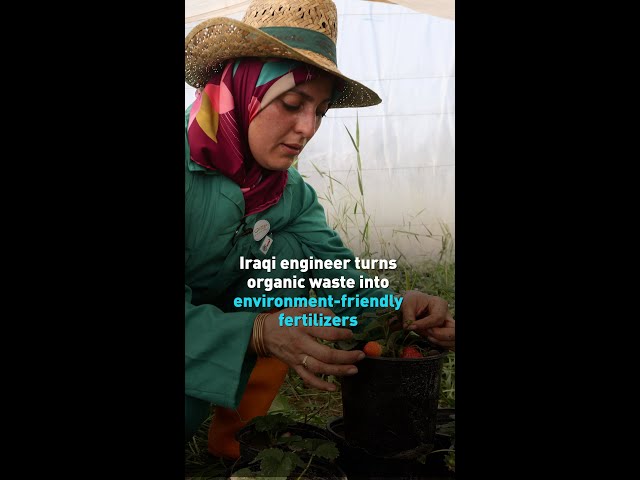 Iraqi engineer turns organic waste into environment friendly fertilizers