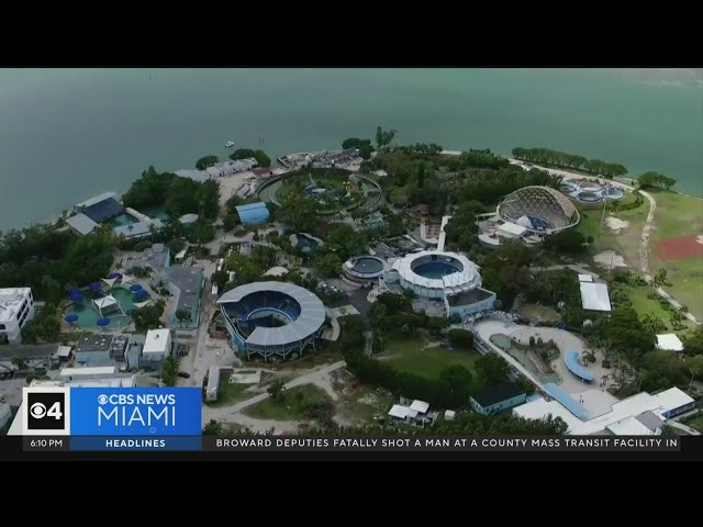 Miami-Dade County sends Miami Seaquarium eviction notice