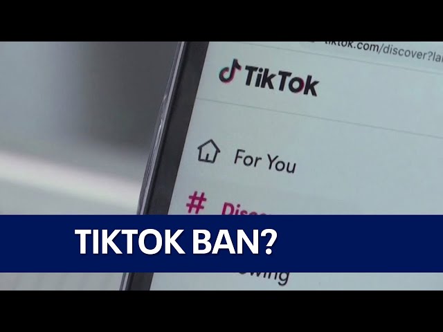 TikTok ban? Illinois congressman leads charge challenging popular app