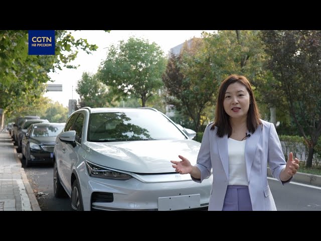 ⁣Достижения и проблемы в развитии китайской отрасли производства электромобилей