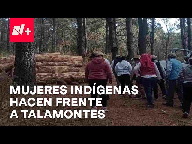 Guardianas de La Malinche: Mujeres nahuas resguardan la zona de los talamontes ilegales - En Punto