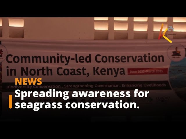 Empowering East Lamu: Spreading Awareness for Seagrass Conservation