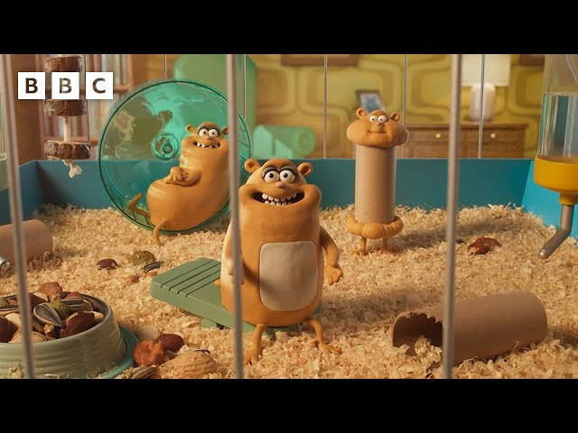 These hamsters love Casualty, sport... and ALL the dramas  | Things We Love - BBC