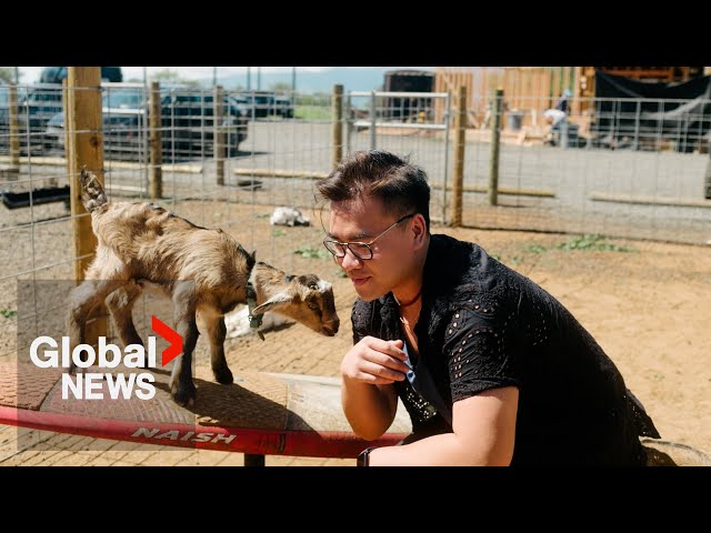 ⁣Mindful in Maui: Planting taro and meeting some cheeky goats at a Hawaii dairy farm