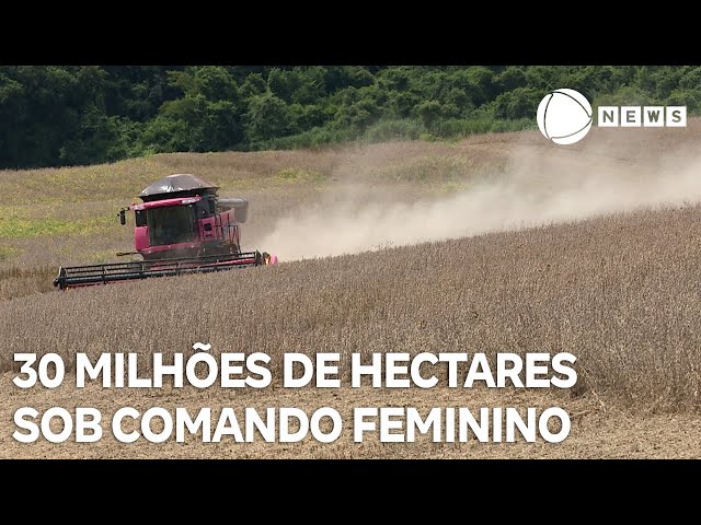 ⁣30 milhões de hectares estão sob comando feminino