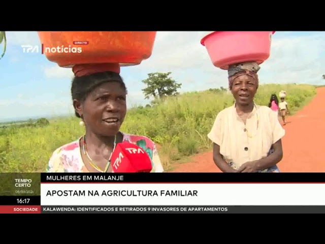 Mulheres em Malanje apostam na agricultura familiar