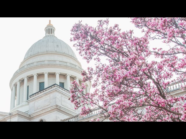 Easterseals Arkansas slated to present housing program for independent living