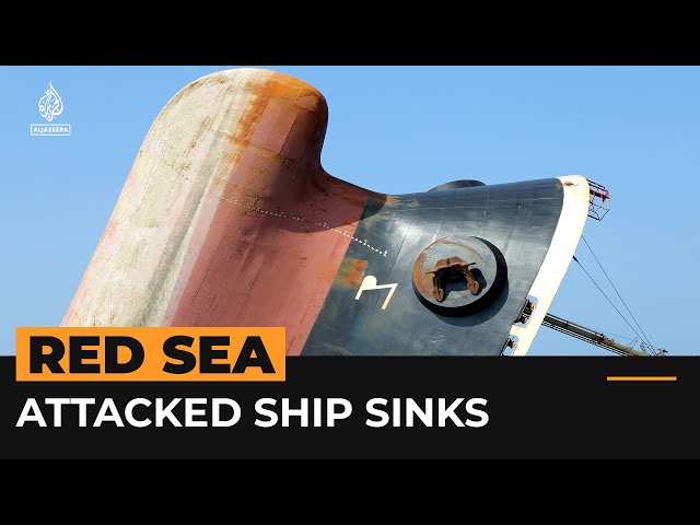 Environmental worries after ship hit in Red Sea sinks | Al Jazeera Newsfeed