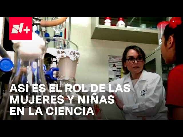 8M: Cifra de mujeres inscritas en carreras de ciencia y tecnología - Despierta