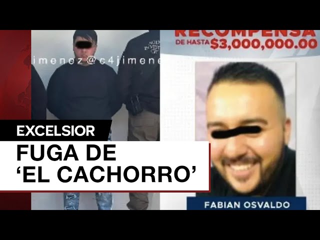 Fiscalía CDMX abre investigación 'porque alguien ayudó a fugarse a El Cachorro'