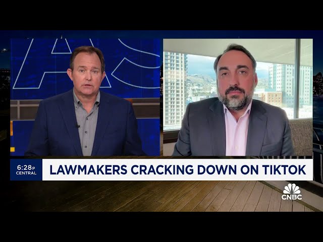 SentinelOne's Alex Stamos discusses if a TikTok ban is possible