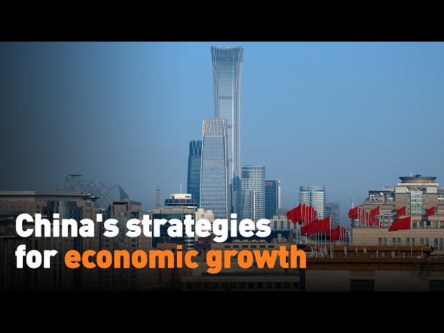 China's strategies for economic growth