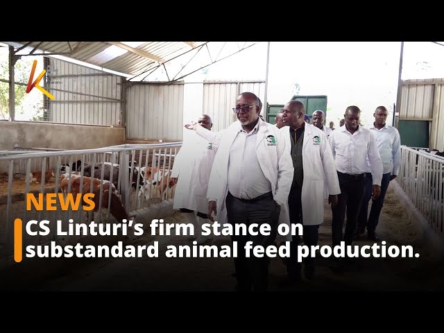 Minister Mithika Linturi Warns of Strict Measures Against Substandard Animal Feed Producers.