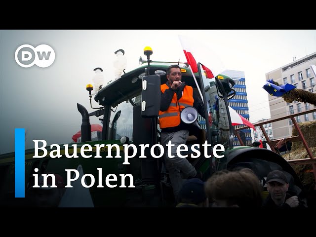 ⁣Polnische Bauern protestieren gegen ukrainische Importe | Fokus Europa