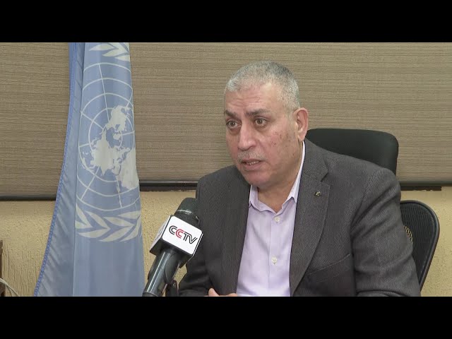 UNRWA official: No plan B for Palestinian refugees in Lebanon as funds dry up