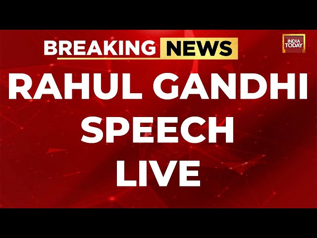 Rahul Gandhi LIVE: Rahul Gandhi's Fiery Speech LIVE | Bharat Jodo Nyay Yatra LIVE In Gujarat