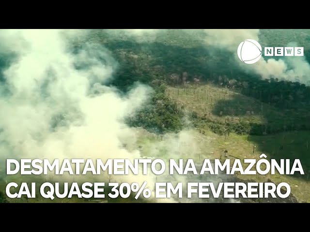 Desmatamento na Amazônia cai quase 30% em fevereiro