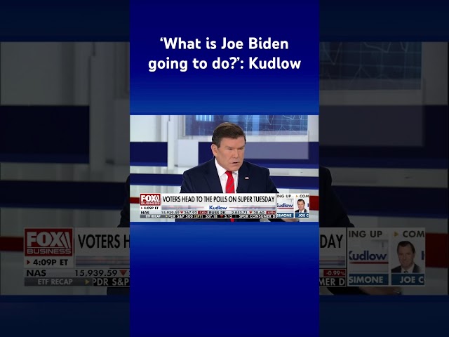 Bret Baier spotlights a ‘concerning’ number that voters should worry about #shorts