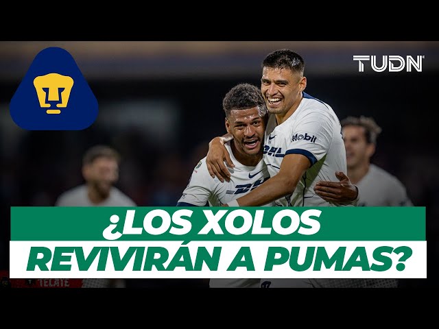 ¡PUMAS debe reivindicarse en CU: 'Ha empezado a flaquear pero se puede levantar con XOLOS'