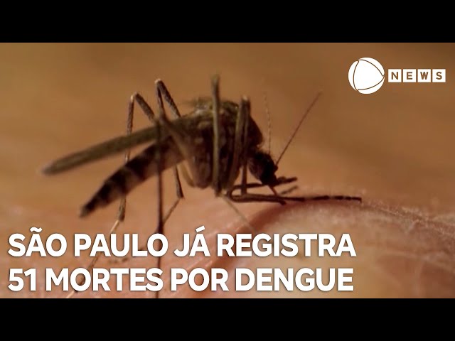 ⁣Estado de São Paulo chega a 51 mortes por dengue