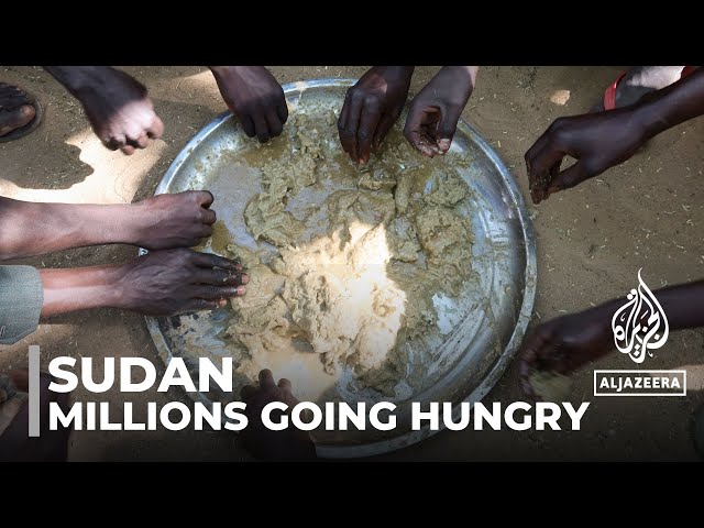 Millions of Sudanese going hungry: Pleas for aid as humanitarian situation worsens