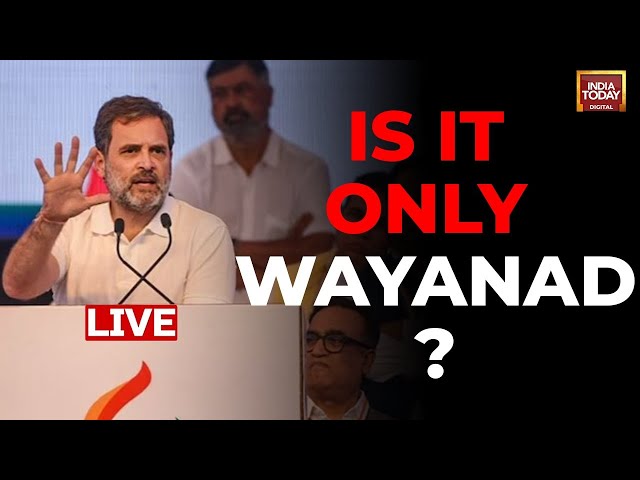 Rahul Gandhi LIVE: Will Rahul Fight From Amethi Too? |  Rahul Gandhi To Contest From Wayanad LIVE