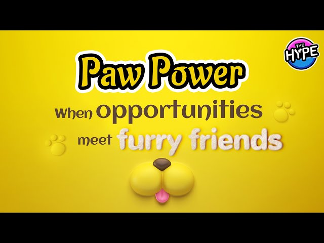 Live: THE HYPE – Paw Power: When opportunities meet furry friends