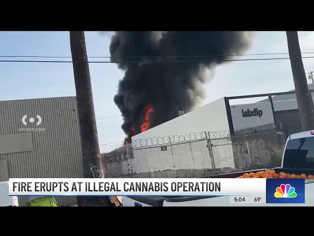 Fire erupts at illegal cannabis operation in downtown LA