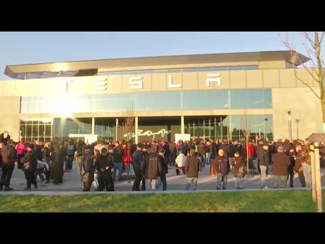 Tesla €100 млн шығынға батты