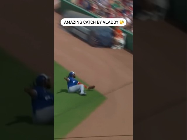 ⁣What A Catch By Vladdy 