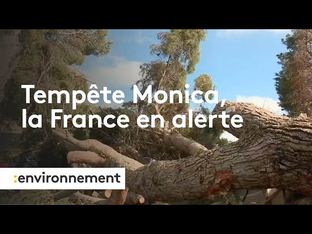 Tempête Monica, la France en alerte