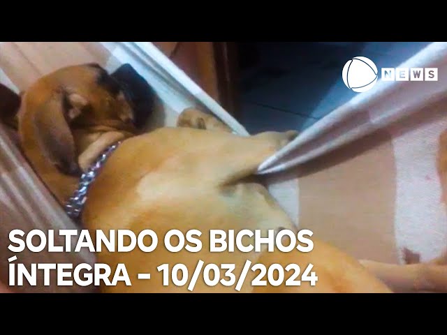 Soltando os Bichos - 10/03/2024