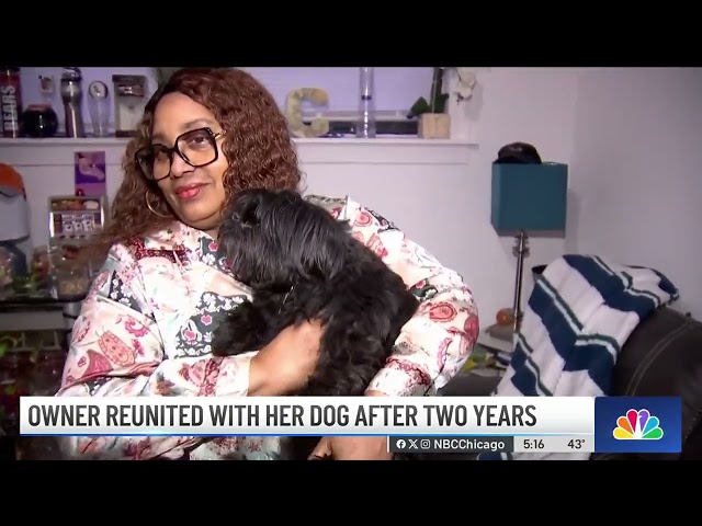 Chicago woman reunited with her lost dog 2 years after she went missing