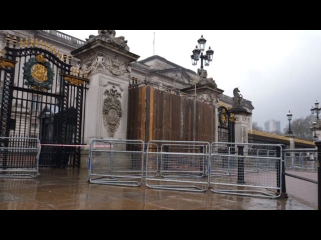 Man arrested after crashing into Buckingham Palace