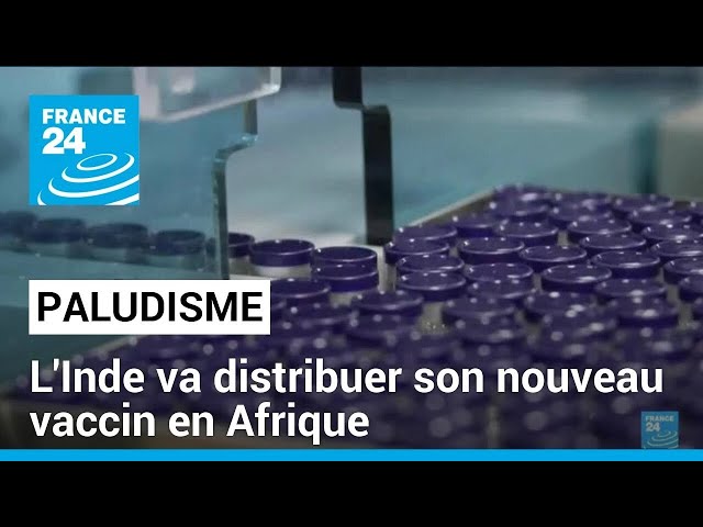 Paludisme : un nouveau vaccin fabriqué en Inde • FRANCE 24