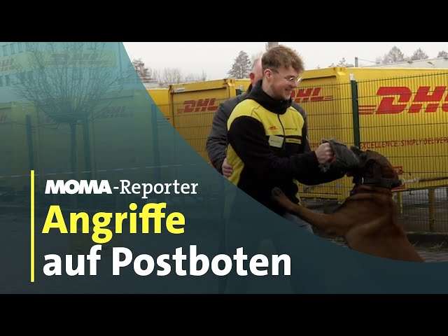 Hunde-Attacken: Training für Postboten: Angriffe durch Hunde | ARD-Morgenmagazin