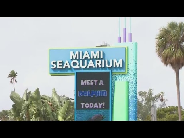 Miami Seaquarium operator plans to respond to notice of lease termination