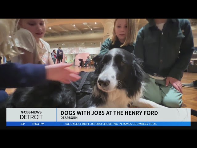 Meet real dogs with jobs at The Henry Ford