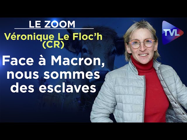 Face à Macron, nous sommes des esclaves - Le Zoom  - Véronique Le Floc’h (Coordination rurale) - TVL