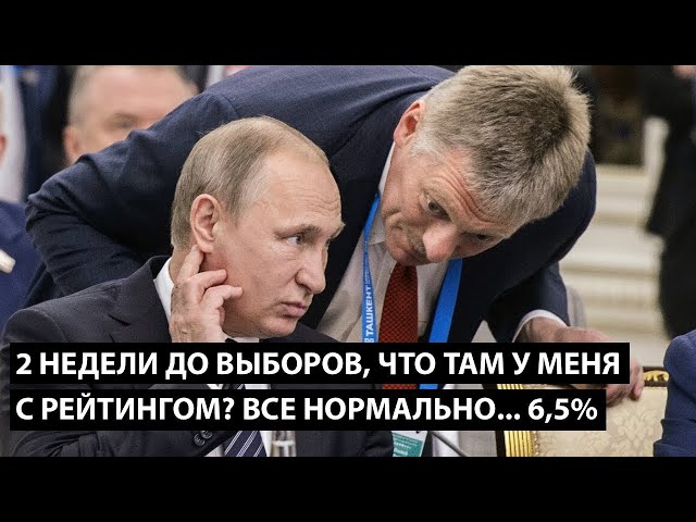 2 недели до выборов.... что там у меня с рейтингом? ВСЕ НОРМАЛЬНО    6,5%!