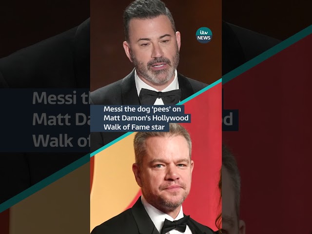 The #oscars ended with a clip of Messi the dog 'peeing' on Matt Damon's #hollywood st