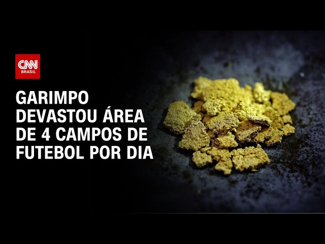 Garimpo devastou área de 4 campos de futebol por dia | LIVE CNN