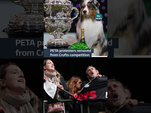 PETA protesters removedfrom Crufts competition