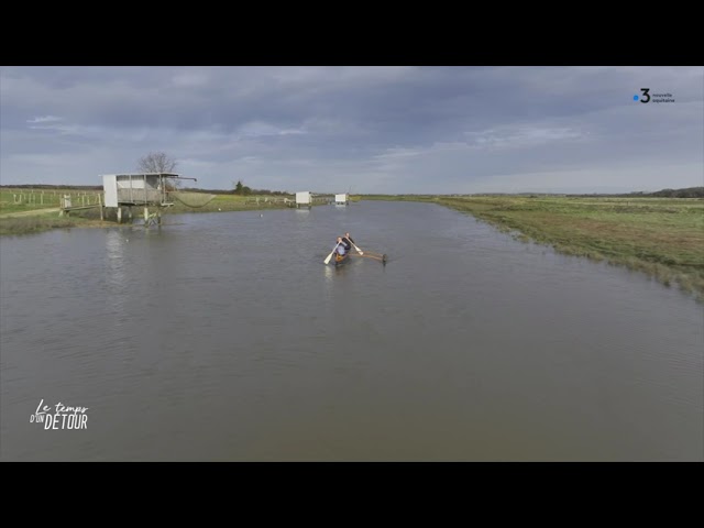 ⁣L'estuaire de la Seudre à découvrir en pirogue!