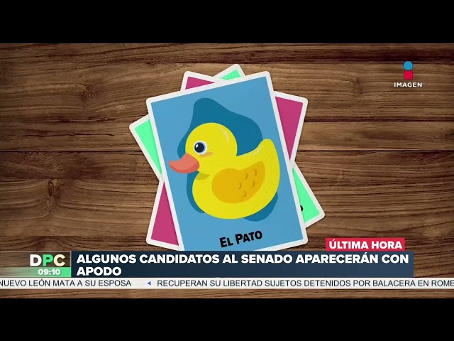 ¡Con apodos! Así se registraron aspirantes al Senado ante el INE | DPC con Nacho Lozano