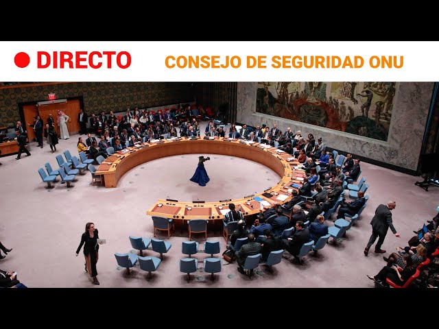 ISRAEL-GAZA: El CONSEJO de SEGURIDAD de la ONU se centra en la VIOLENCIA SEXUAL | RTVE