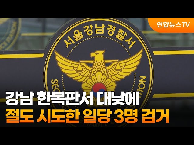 강남 한복판서 대낮에 절도 시도한 일당 3명 검거 / 연합뉴스TV (YonhapnewsTV)