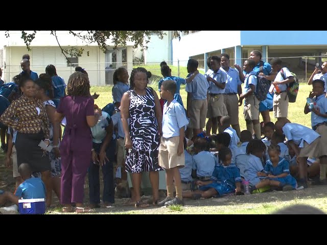 Call for better security at primary schools