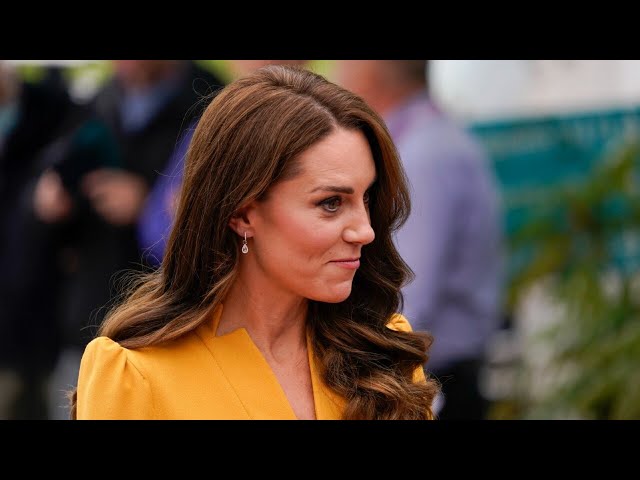 ‘PR disaster’: Royal expert claims Princess Kate’s photo edit an ‘innocent mistake’